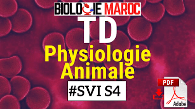 TD Exercices de Physiologie Animale SVI S4 Semestre 4 PDF