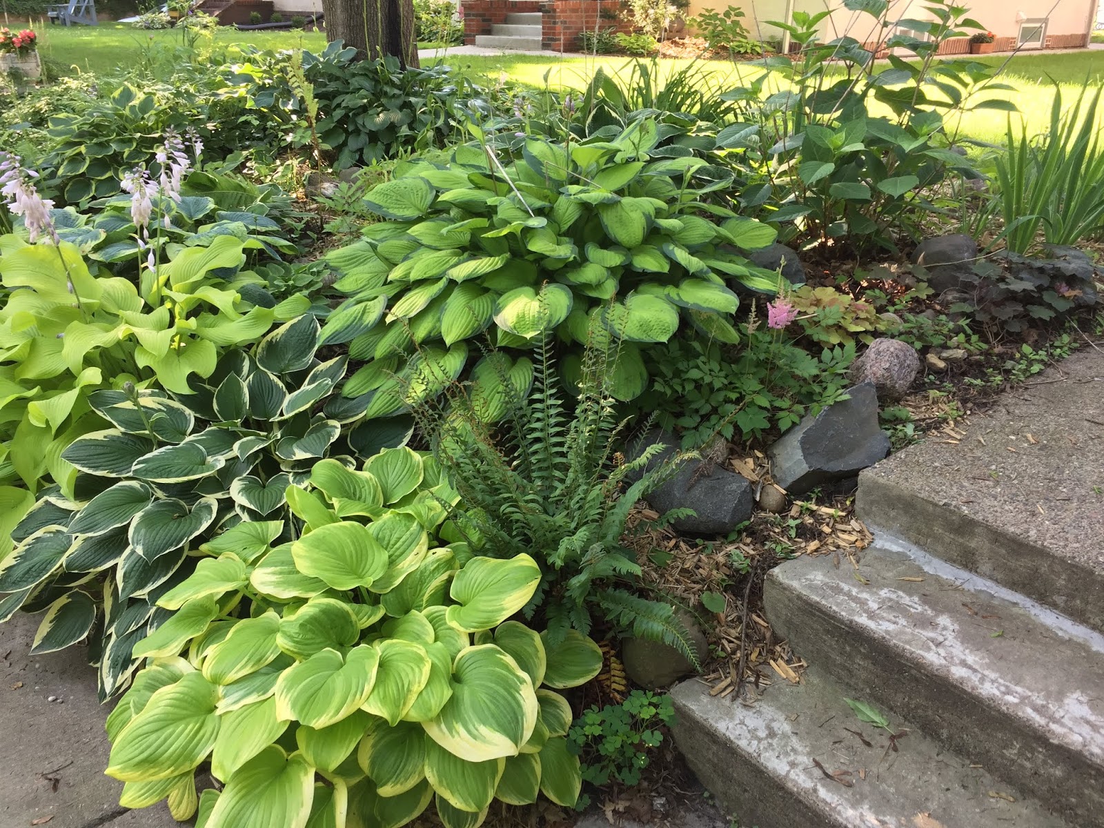Chuck Does Art Landscaping Shady Hillside