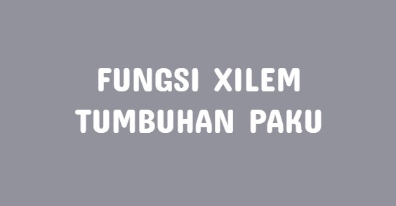 Xilem Pada Tumbuhan Paku Berfungsi Klak Klik Bermutu
