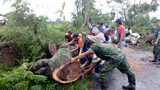 Koramil 12 Manisrenggo dan Relawan Evakuasi Pohon Tumbang