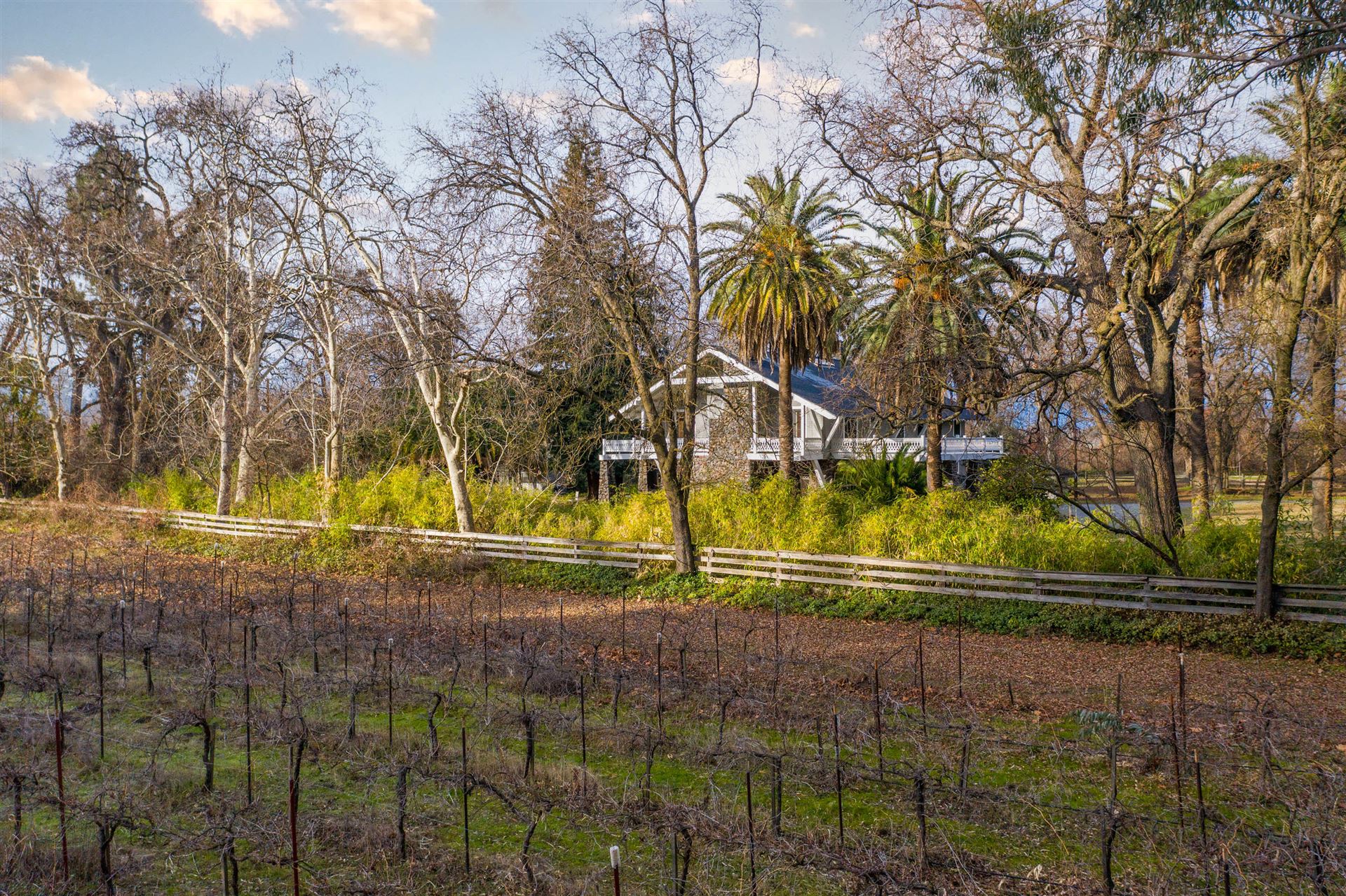 The Sycamores, Los Molinos, California