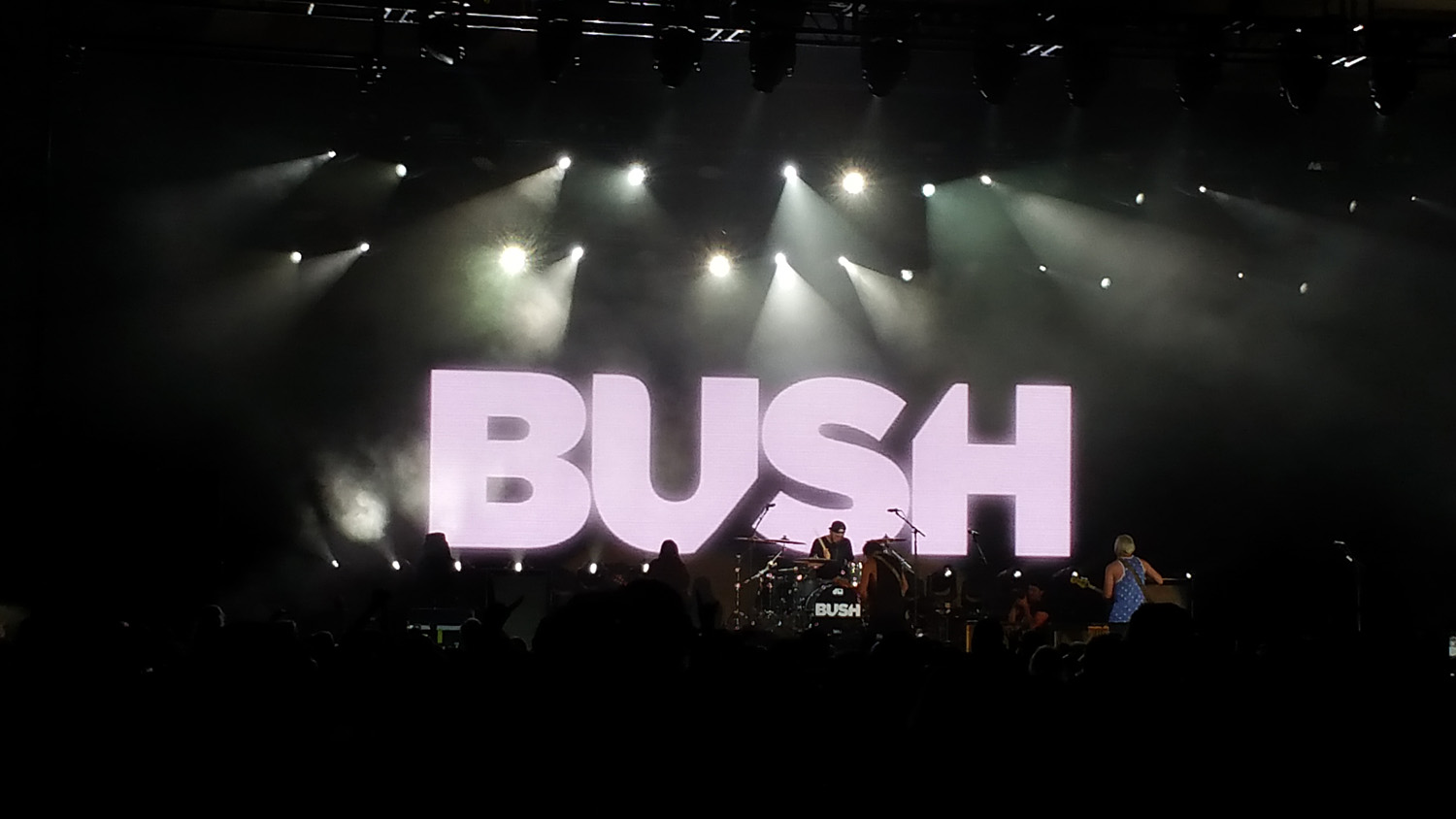 The Bell Curve of Life Bush In Concert