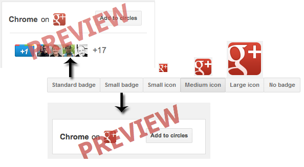 Google Plus Pages Unveiled