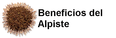 Beneficios del Alpiste Propiedades Leche de alpiste para que sirve y Contraindicaciones