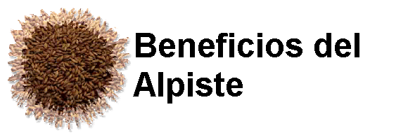 Beneficios del Alpiste Propiedades Leche de alpiste para que sirve y Contraindicaciones