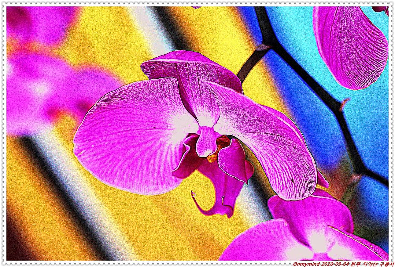 원주 구룡사 원주 구룡사