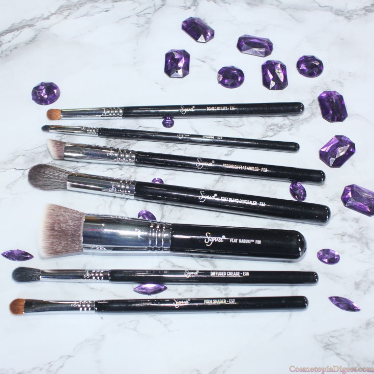 Why You Need The Best Of Sigma Makeup Brush Set Cosmetopia Digest