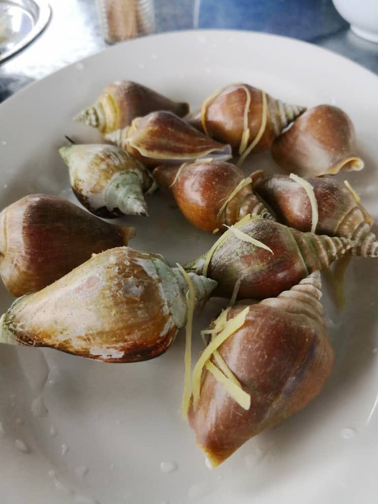 James Fish Farm Kudat, Sabah.