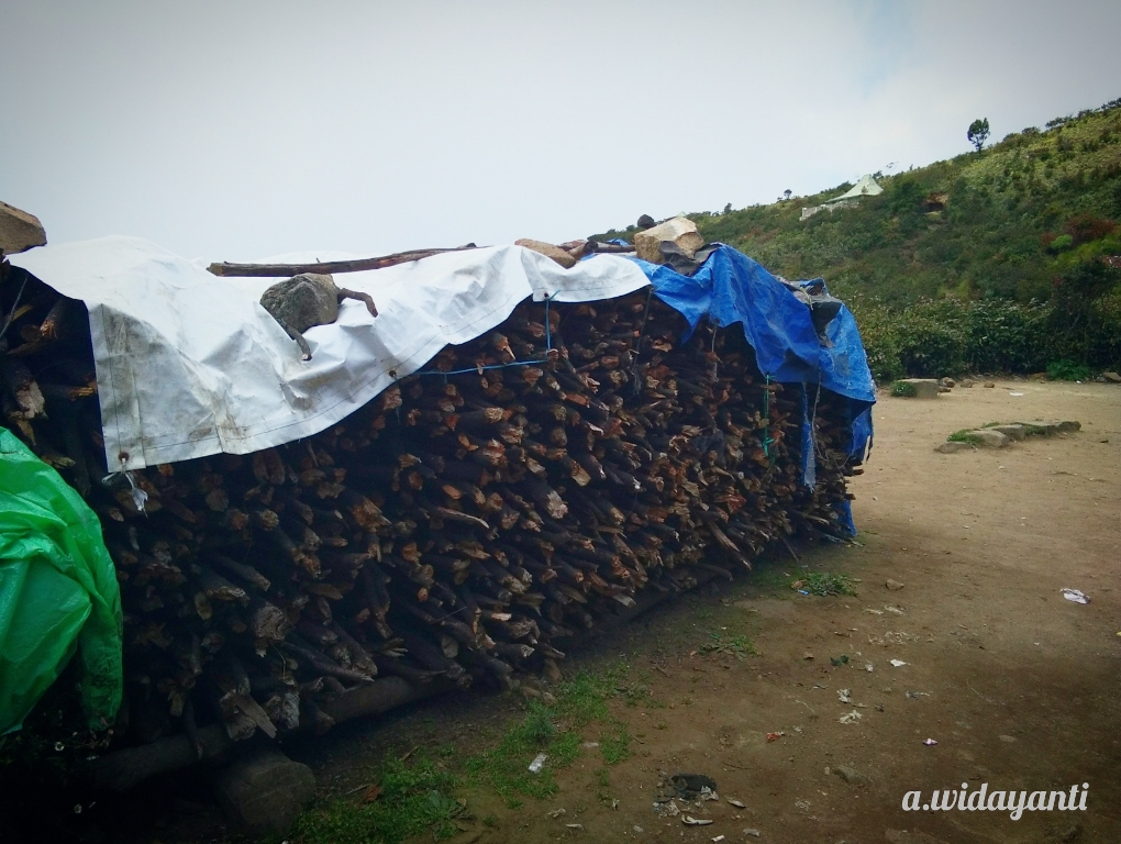 Stok Kayu Bakar Mbok Yem Stok Kayu Bakar Mbok Yem