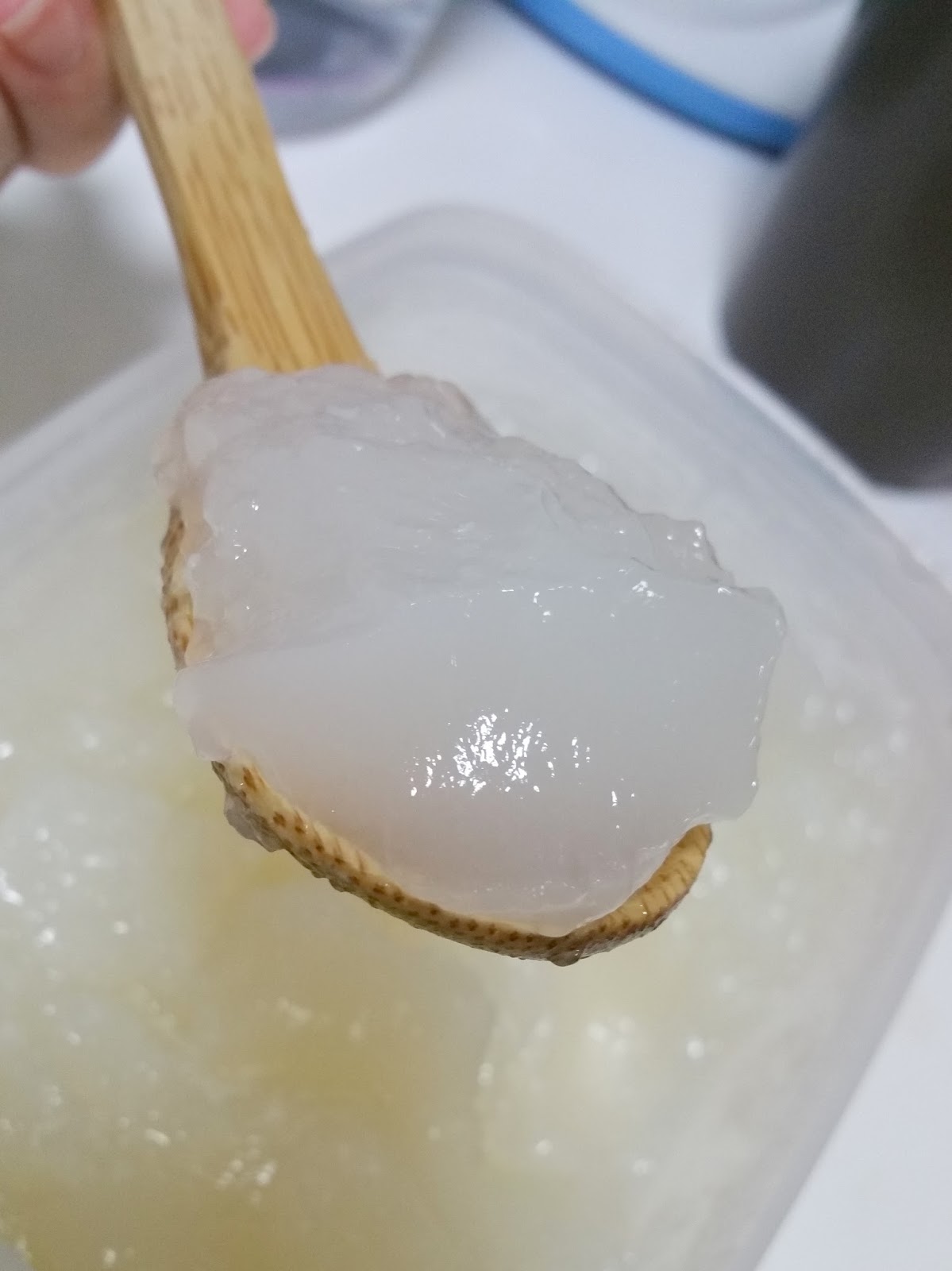 UGLYFATCHICK Collagen Stock / Bone Broth (Also known as Collagen Jelly