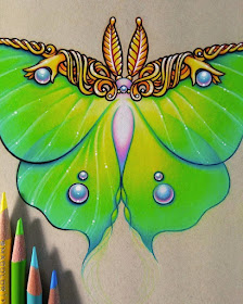 02-Luna Moth-WIP-Danielle-Washington-Brightly-Colored-Pencil-Drawings-www-designstack-co