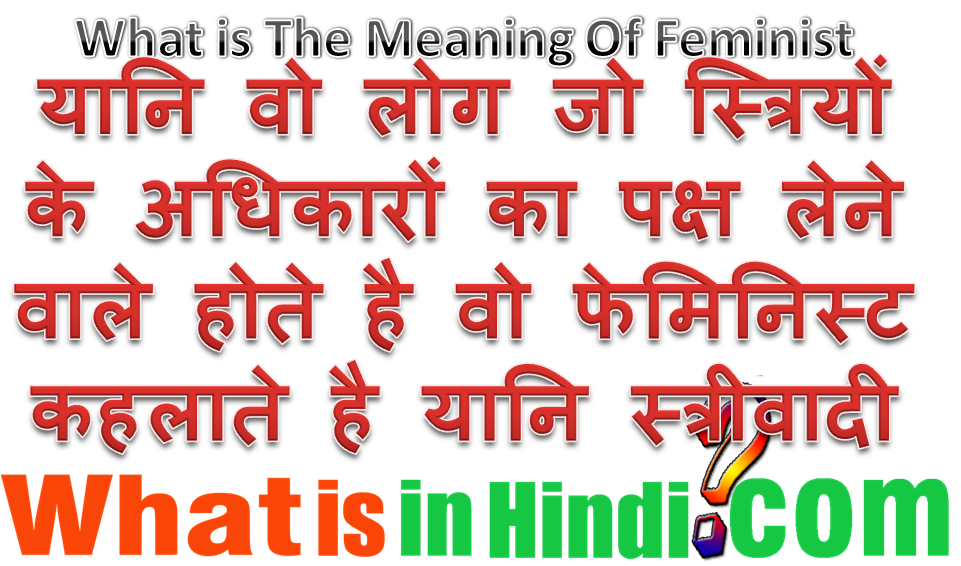 Feminist ka matlab kya hota hai hai What is the meaning Feminist in