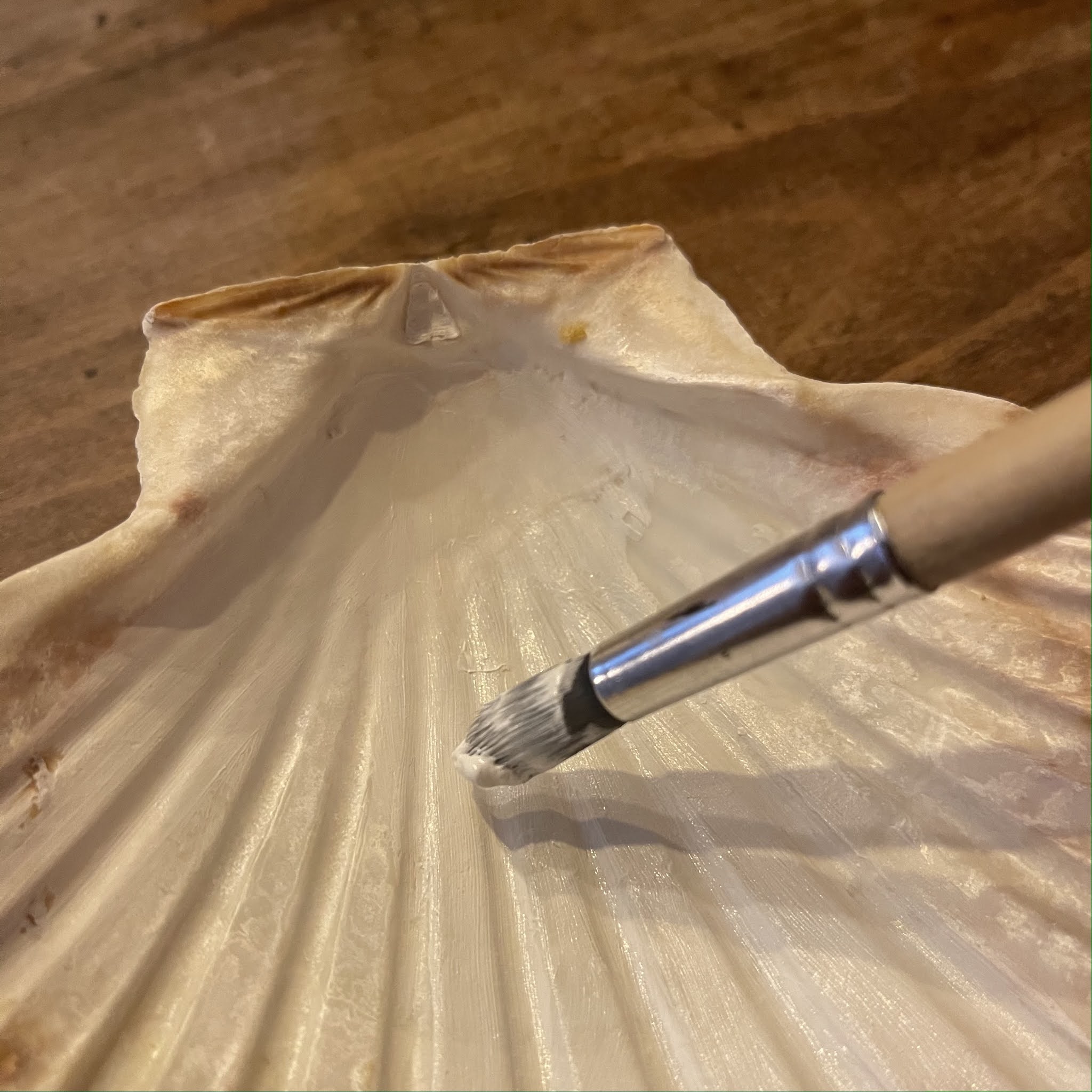 diy-3-how-to-decorate-scallop-shells