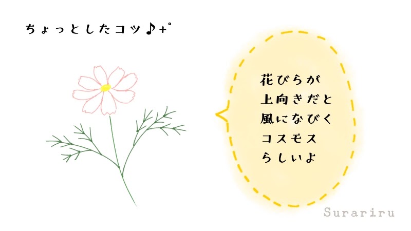 簡単なコスモスの花のイラストの描き方 ボールペンイラストと水彩 遠北ほのかのsurariru