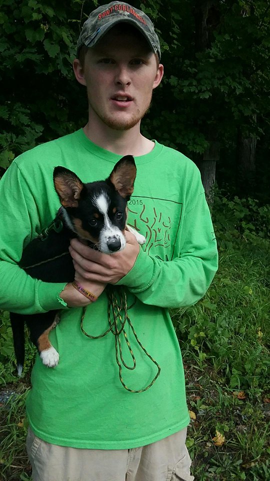 Big Ears Kennel Magpie Settles In At Cobleskill