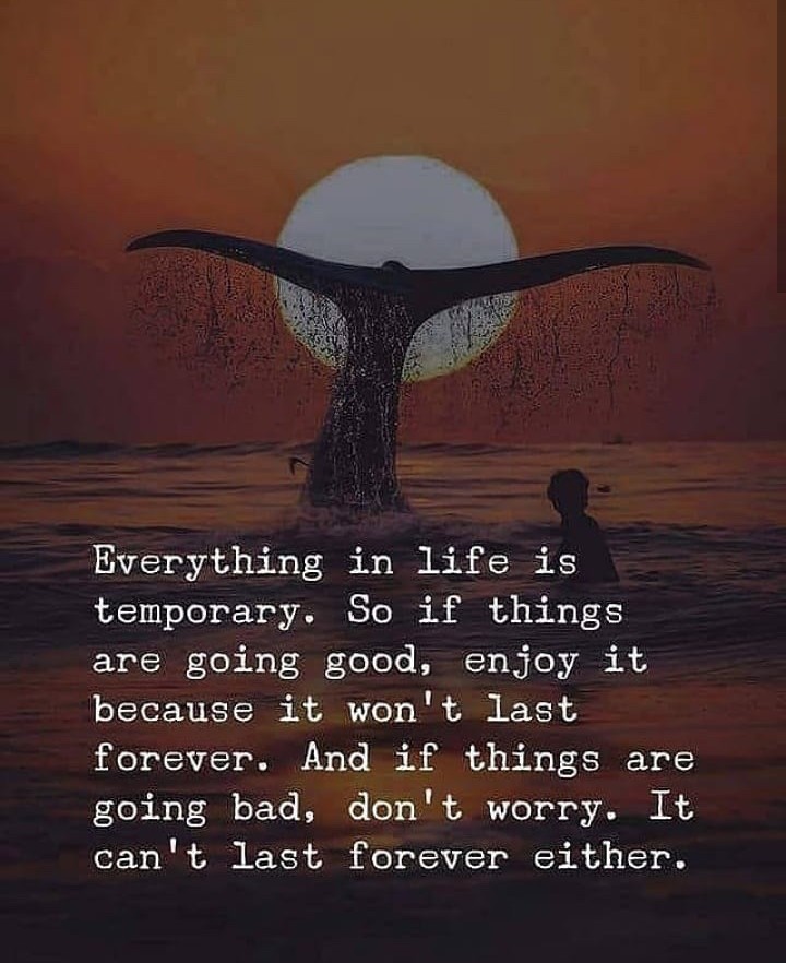 Nothing Last Forever Artinya – Python