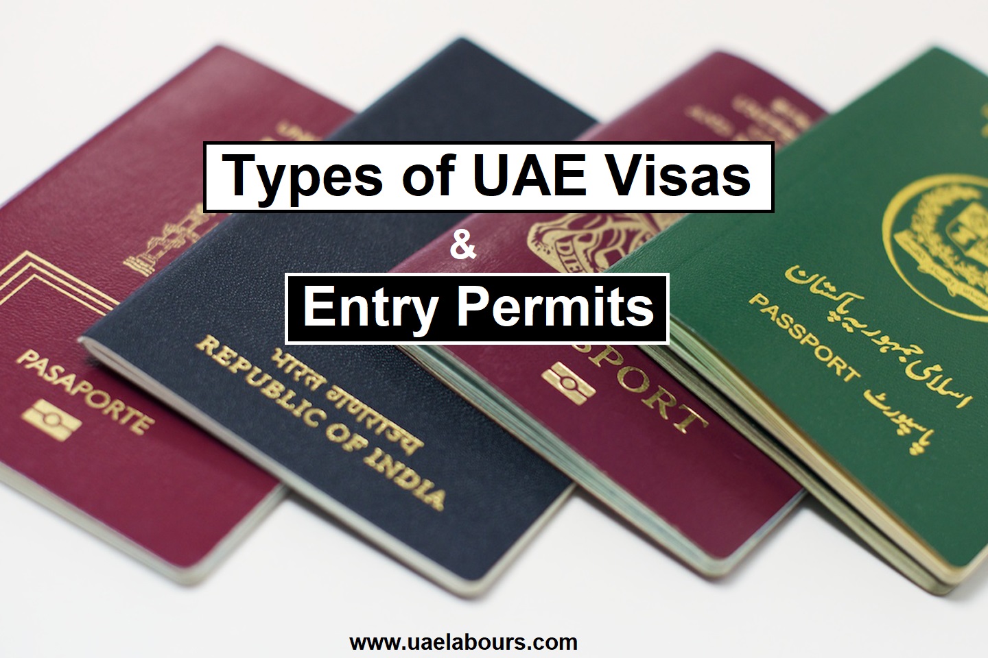 Uae visa. Виза ОАЭ. Dubai student visa. Transit visa UAE.