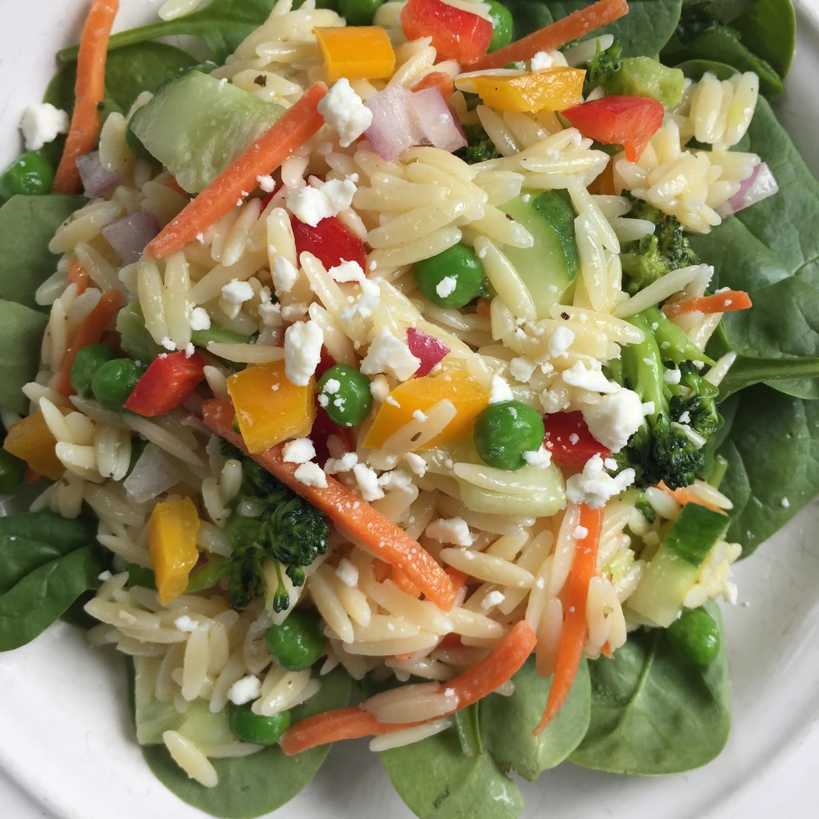 Polka-Dotty Place: 6 Easy Healthy Lunch Recipes