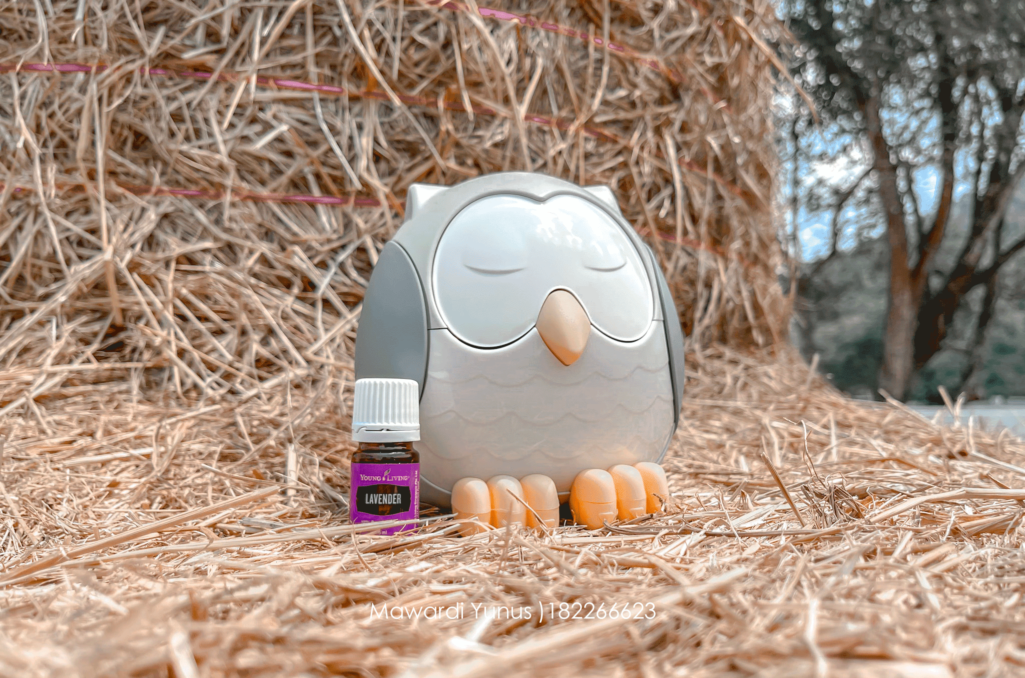 Review Diffuser Feather The Owl Dari Young Living