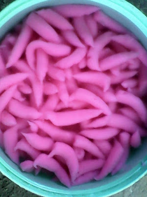 Hasil Cetakan Cendol Nutrijel Resep Cara Membuat Cendol Nutrijel Kenyal Enak cendol nutrijel cendol nutrijell resep cendol nutrijel cendol dari nutrijel es cendol nutrijel cara membuat cendol nutrijel