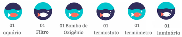 como montar um aquário Como montar um aquário