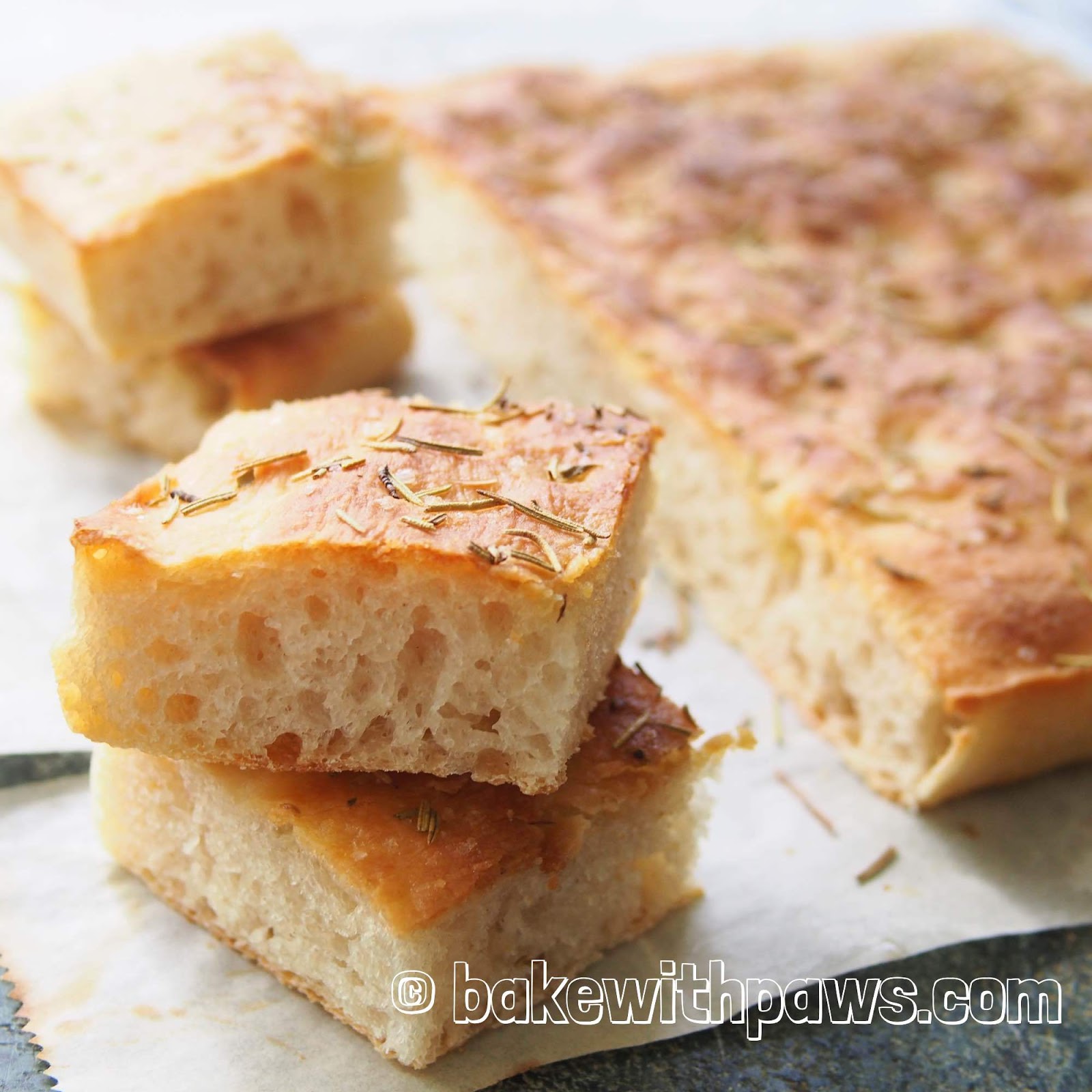 Sourdough Focaccia BAKE WITH PAWS