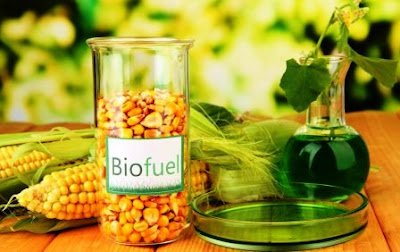 Energi Alternatif 8: Biofuel