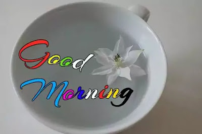 Good Morning Images Good Morning Images
