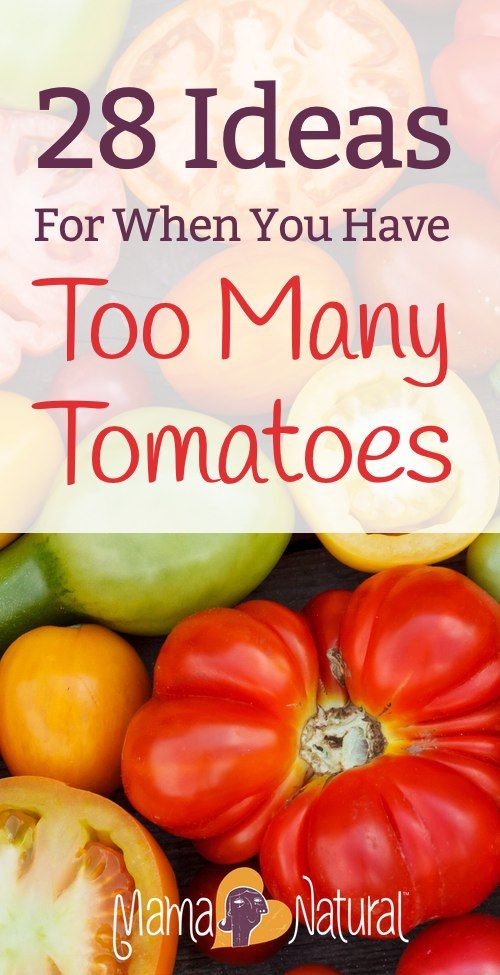 28 Things to Do With Too Many Tomatoes Healthy Recipes Soup