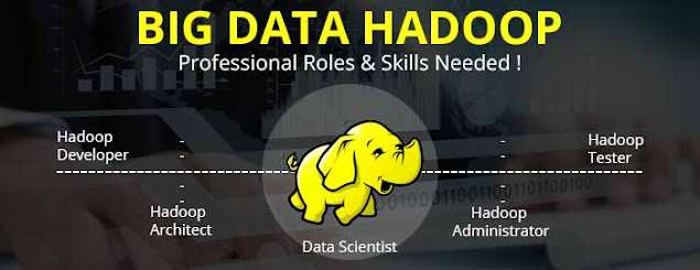 BIG DATA and Hadoop | Perfect computer classes