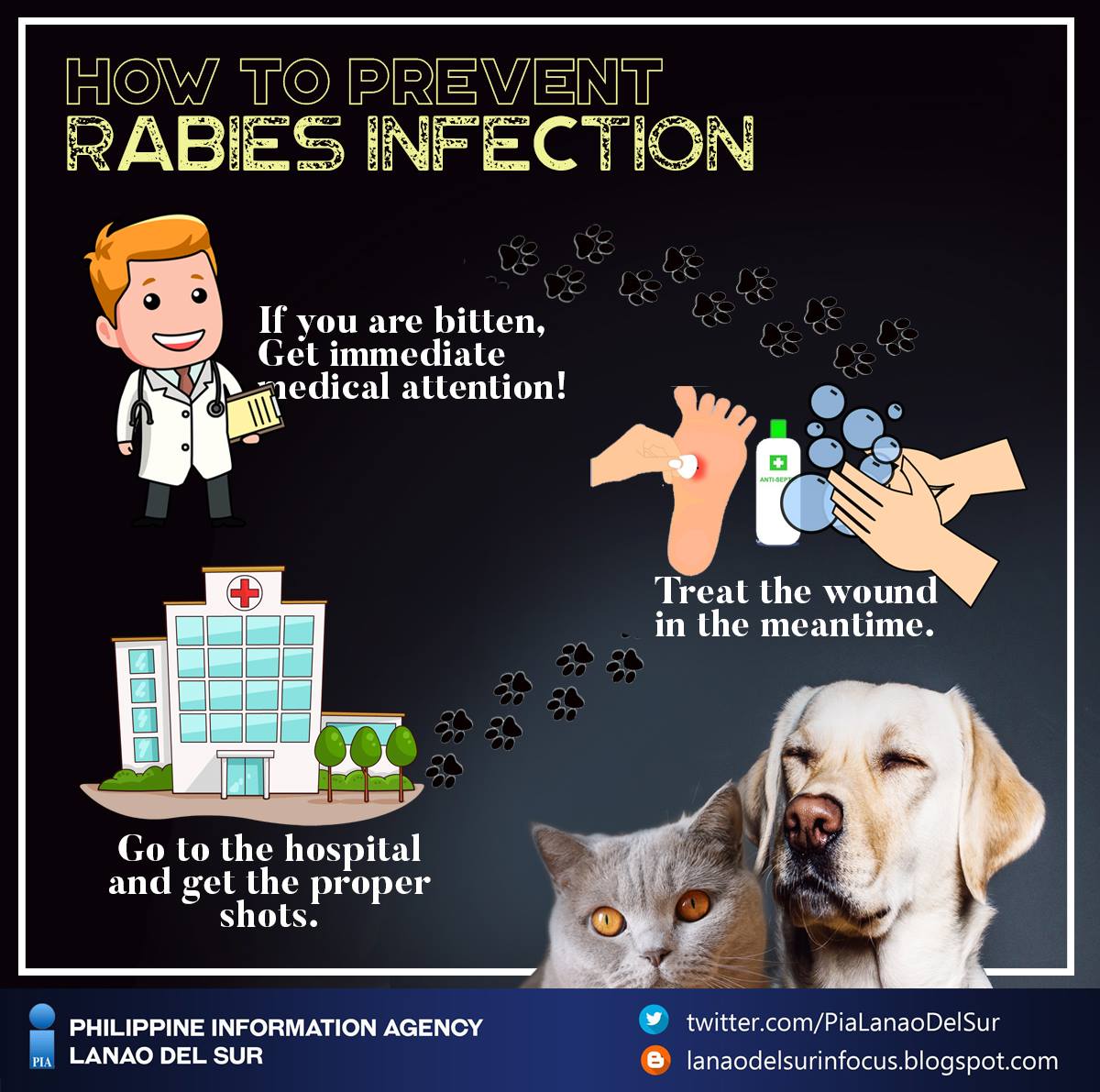 ARMM supports 'RabiesFree Philippines by 2020' campaign Lanao del