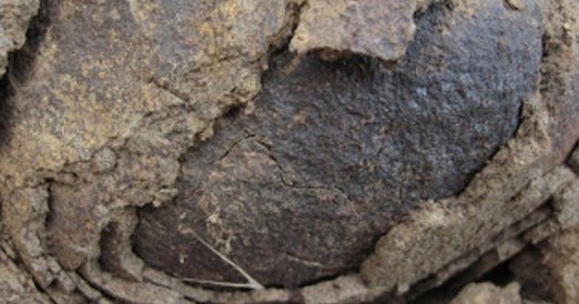 Faktor yang Memengaruhi Terjadinya Pelapukan Batuan  Konsep Geografi