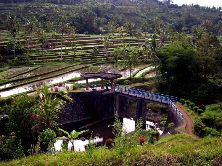 [Image: subak%2Bbali.jpg]