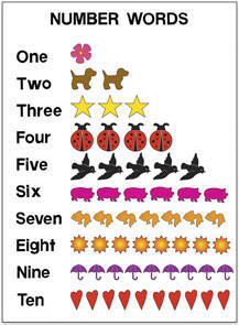 Our Class in Bloom We See Numbers Everywhere!