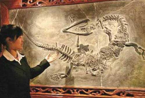 Bí ẩn bộ xương dài 30m dưới đáy biển: Dấu tích của loài rồng biển huyền thoại?