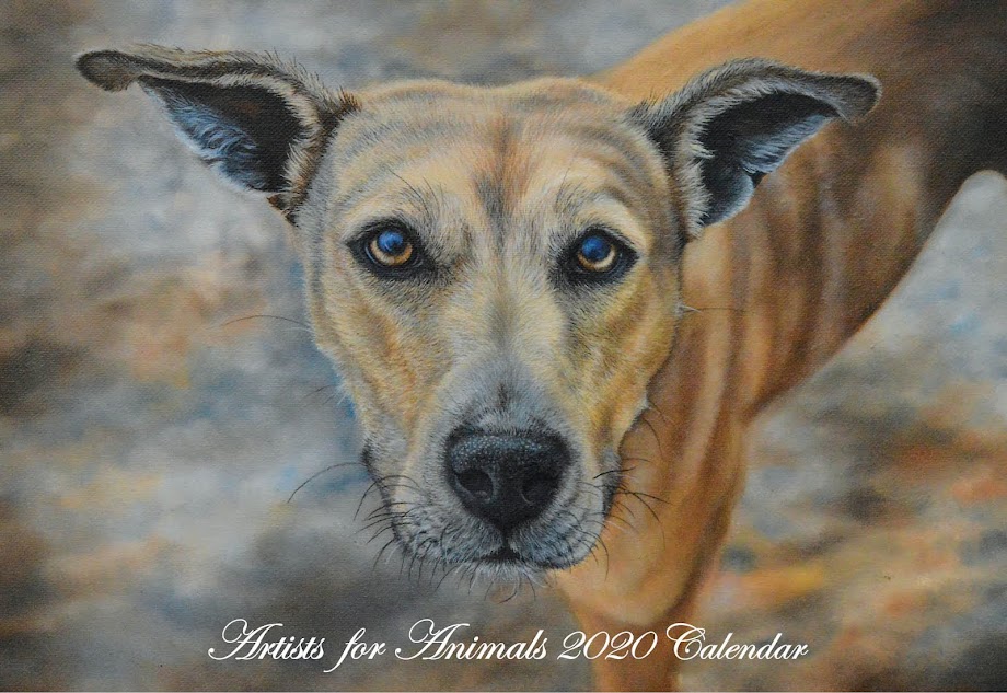 Artists for Animals 2020 Calendar