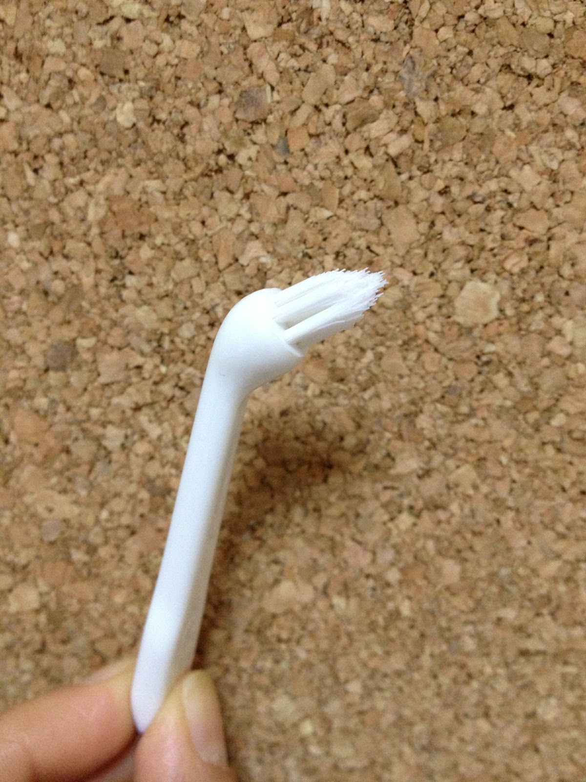 PatiSev�in Dünyası KEDİ ve KÖPEĞİNİZİN AĞIZ BAKIMI İLE İLGİLİ