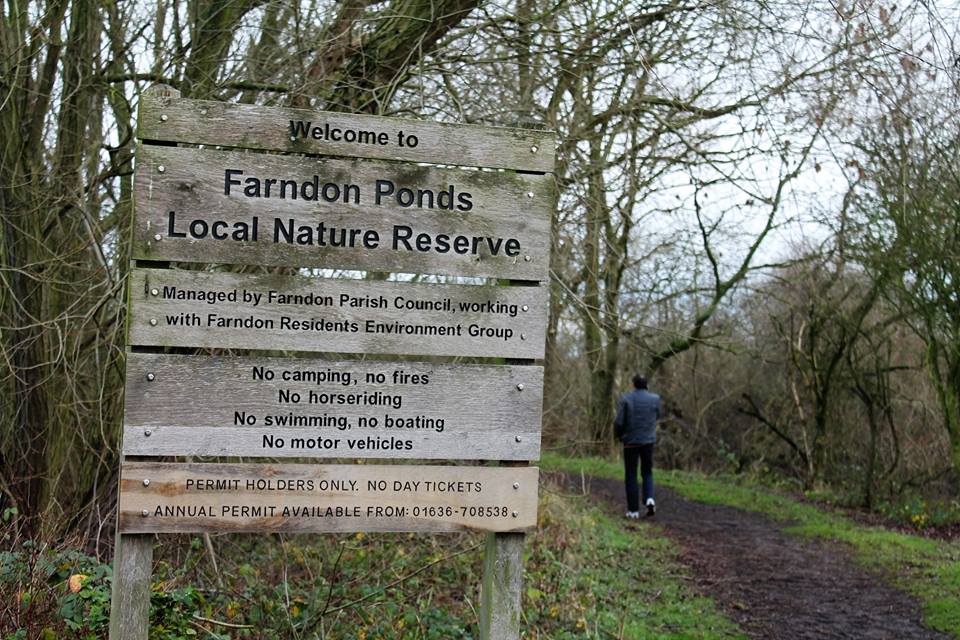 Martin Brookes Oakham Farndon Ponds Nottinghamshire Photographs