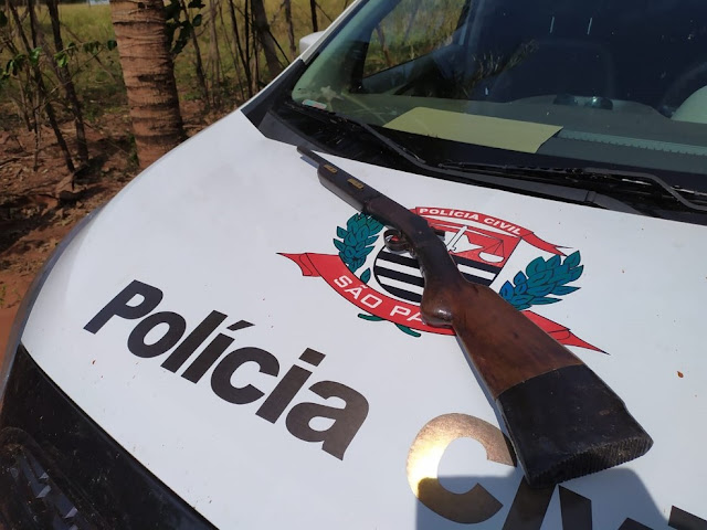Polícia Civil encontra  46 cabeças de gado furtadas de fazenda em Marabá Paulista  Animais da raça bonsmara possuem marcações de controle em suas orelhas