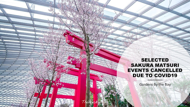 Gardens By the Bay Sakura Matsuri Cultural programes, Anime Garden and Get Craft Cancelled