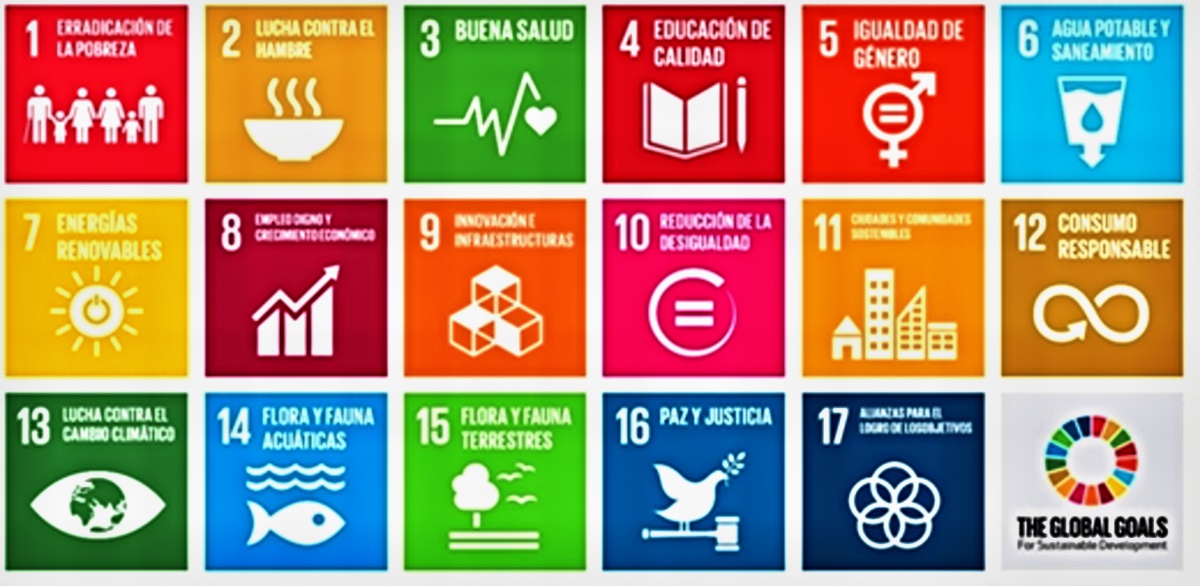 Necesidades educativas. Discapacidad motora. ODS Maps, nueva