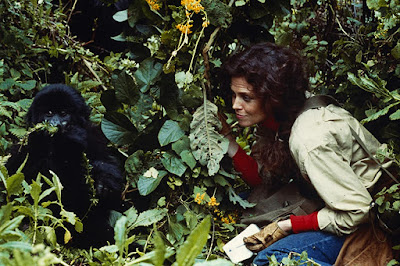 Gorillas In The Mist 1988 Sigourney Weaver Movie Image 5