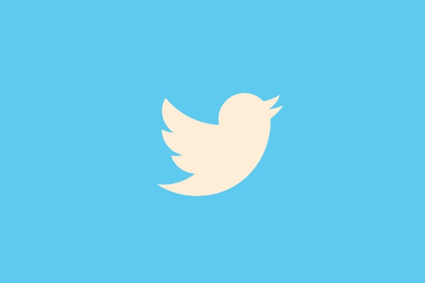 Cara Download Video Twitter Yang Diproteksi