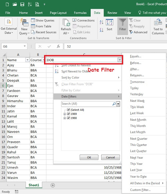 How to use filter in Excel?