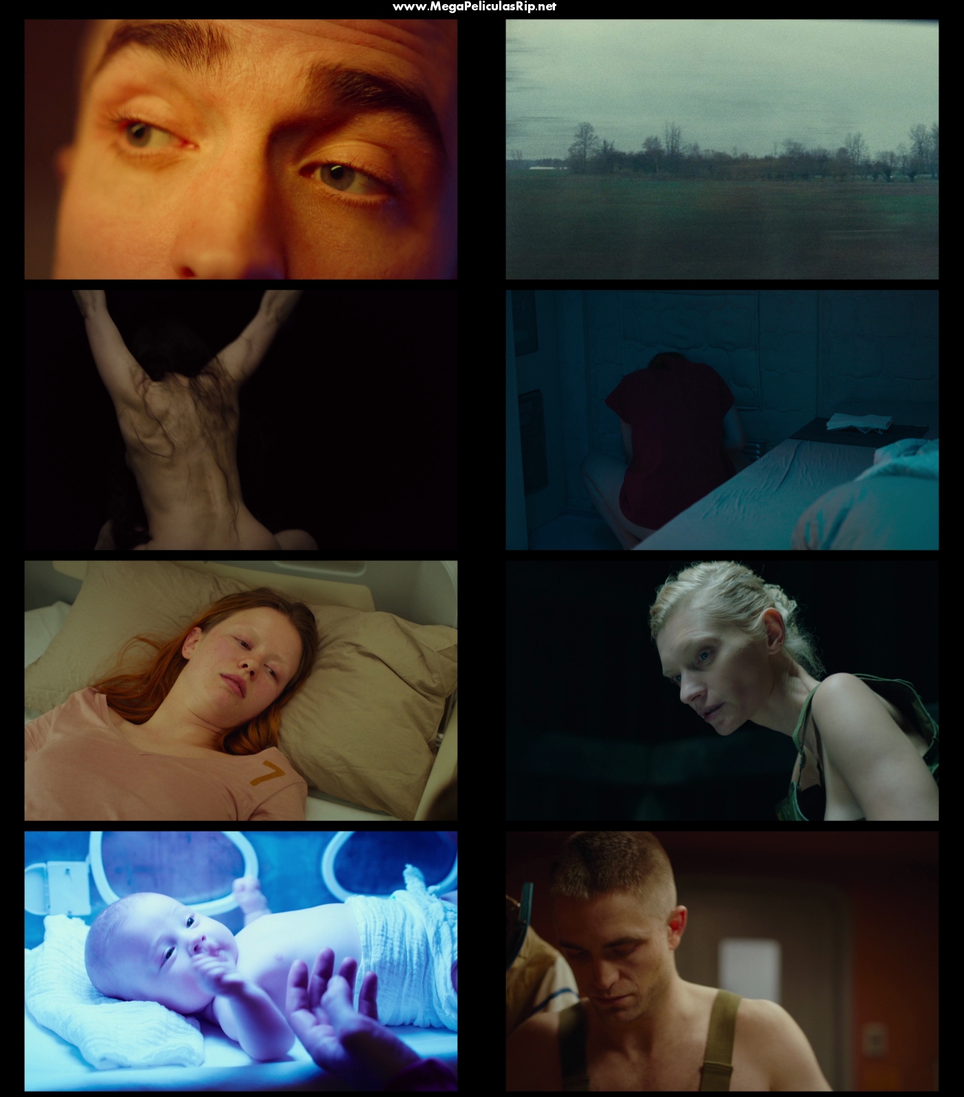 High Life 1080p Latino