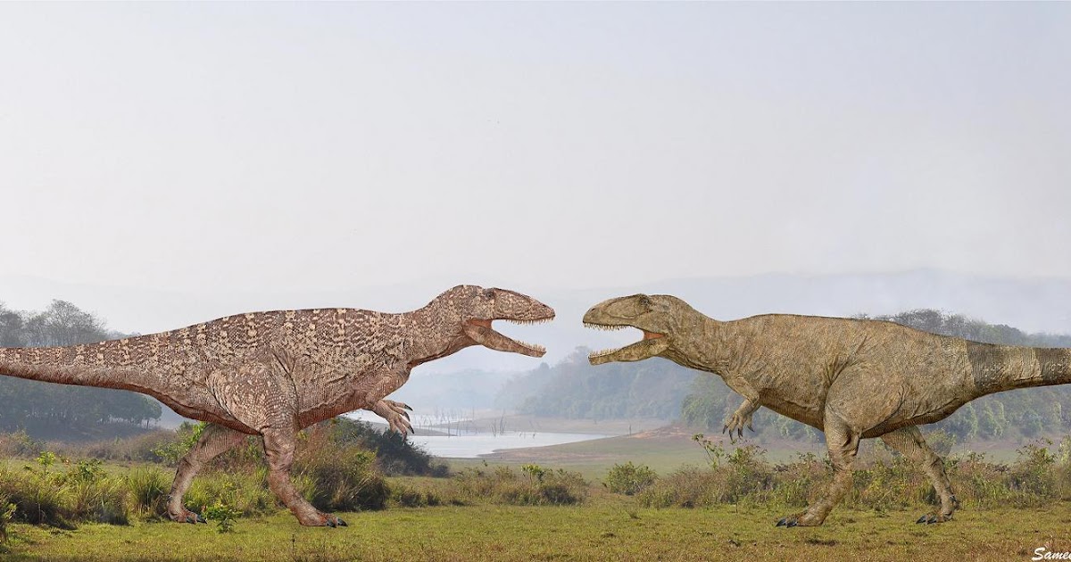 Гигантозавр против. Кархародонтозавр Тиранозавр. Тираннозавр и гигантозавр. Гигантозавр и рекс. Тарбозавр.
