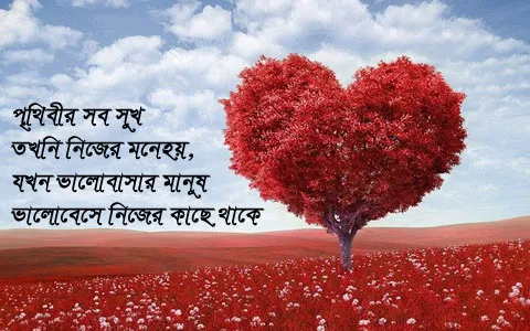 Bangla Love Photo