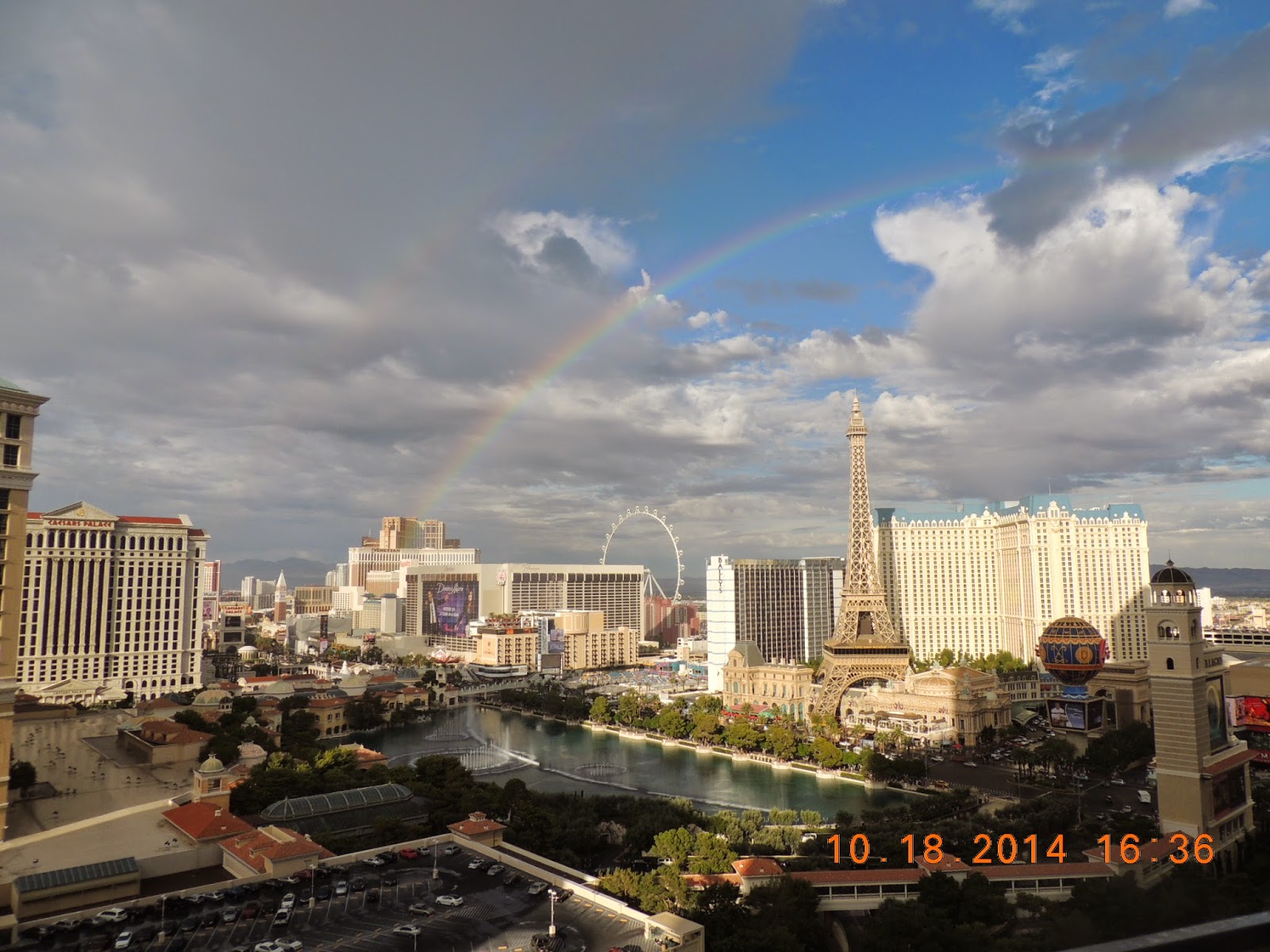 Journey to Motherhood One Night in Vegas