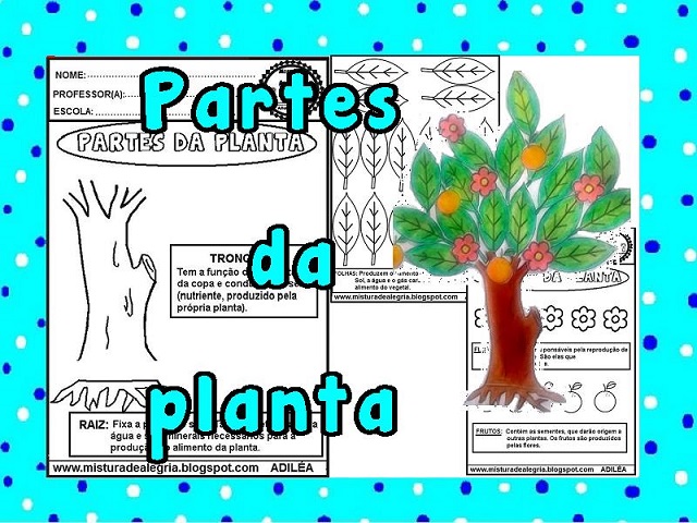 Atividades sobre as Plantas - Educação Infantil