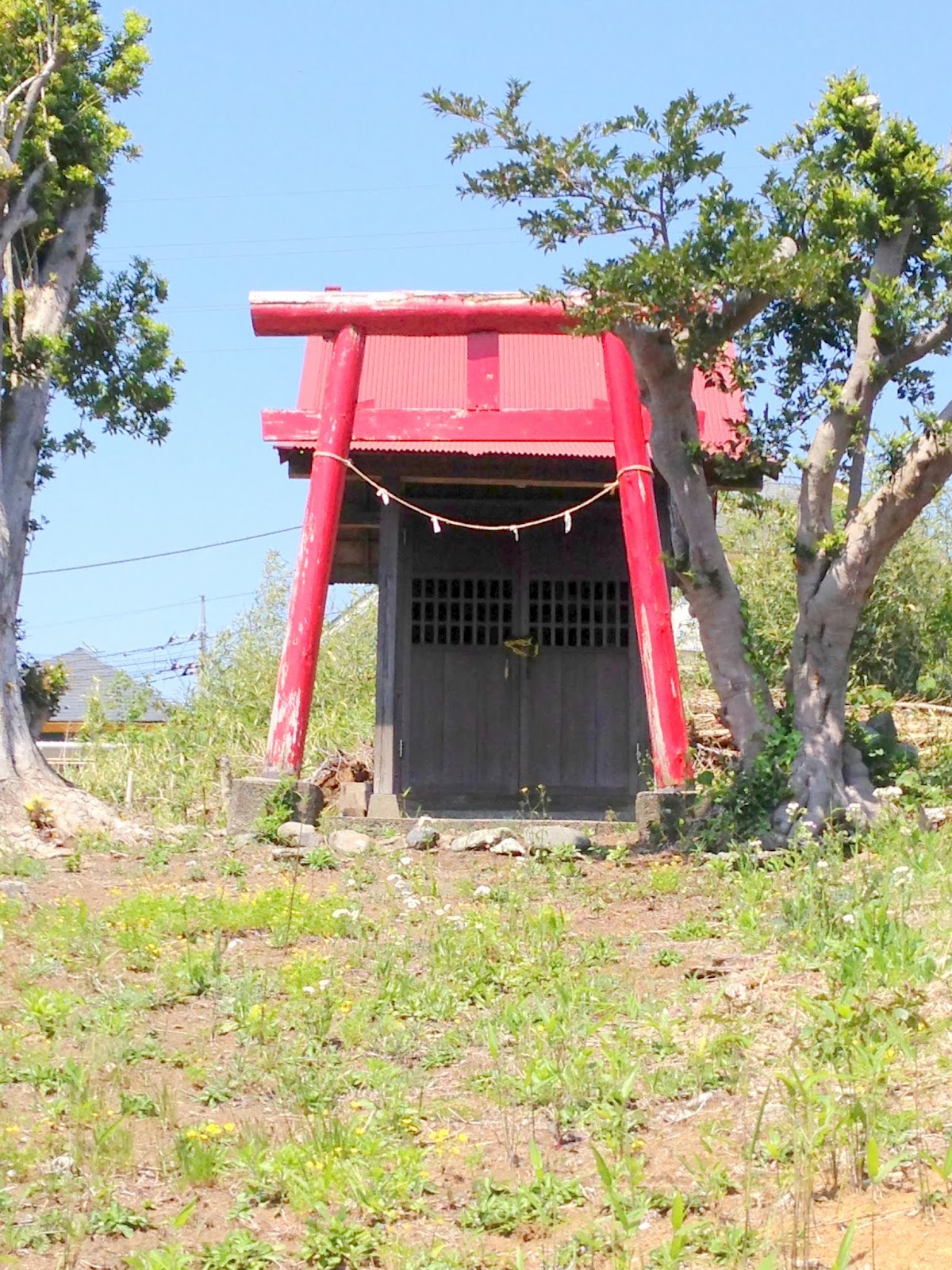 なんだかなぁ 神社 神奈川県厚木市長谷